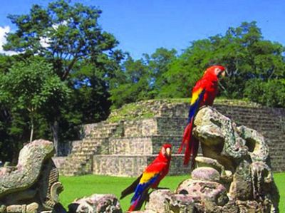 Sueños Centroamericanos